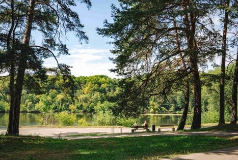 Miško Takas 63. Vaišvydava – Kaunas.