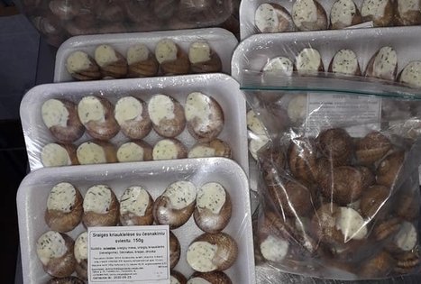 Janinos Sraigių ūkis