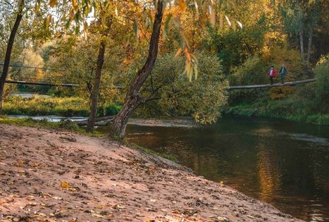 Kabantis tiltas per Dubysą