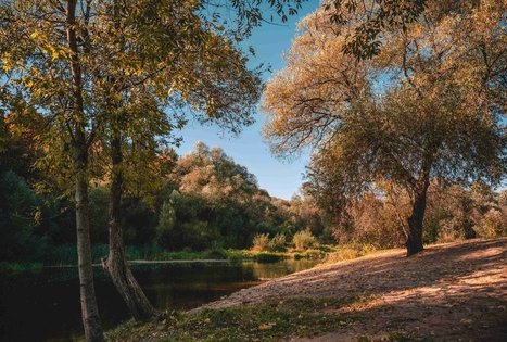 Kabantis tiltas per Dubysą