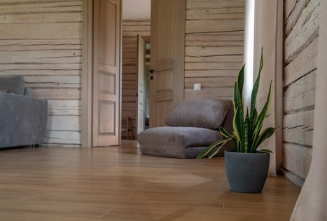 Panekelpių vienkiemis