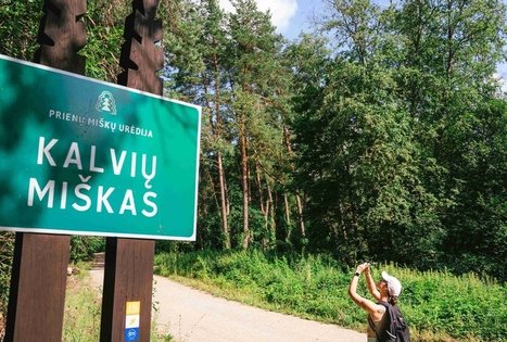 Kalvių miškas