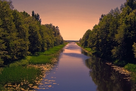 Karaliaus Vilhelmo kanalas