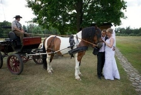 Pasivažinėjimas karieta 