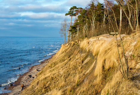 Karklė ir Olando kepurė