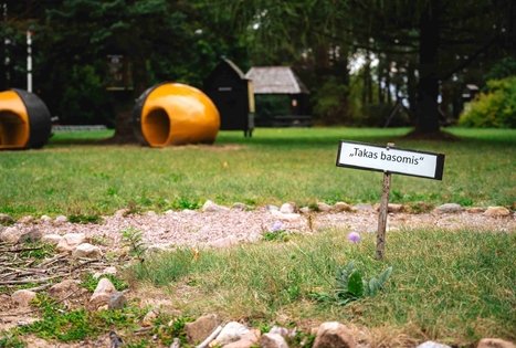 Miško Takas 62. Pakuonis – Vaišvydava.