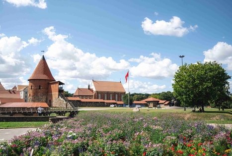 Miško Takas 64. Kaunas – Lampėdžiai.