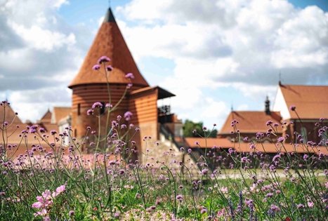 Miško Takas 64. Kaunas – Lampėdžiai.