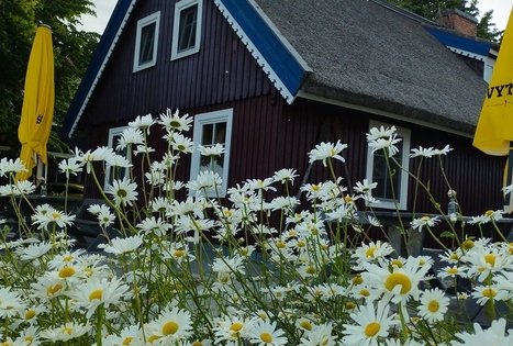 Kavinė „Vėjopačio užeiga“