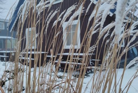 Kavinė „Vėjopačio užeiga“