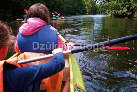 Įmonių renginiai gamtoje