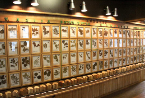 Kazlų Rūdos miško muziejus