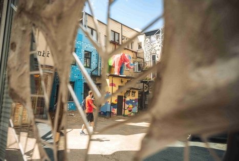 Miško Takas 64. Kaunas – Lampėdžiai.