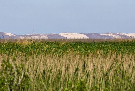Kintų girininkijos pažintinis takas