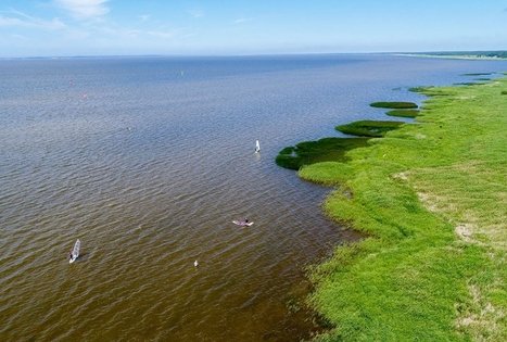 Kintų girininkijos pažintinis takas