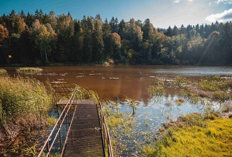 Kirkšnovės tvenkinys