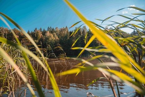 Kirkšnovės tvenkinys