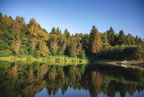 Kirkšnovės tvenkinys