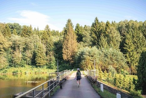 Kirkšnovės tvenkinys