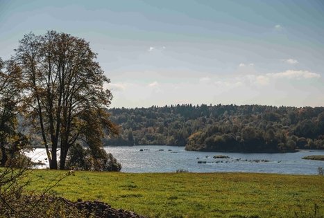 Kirkšnovės tvenkinys