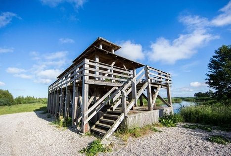 Kniaupo įlankos apžvalgos bokštelis