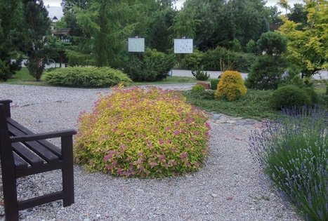 Klaipėdos universiteto botanikos sodas