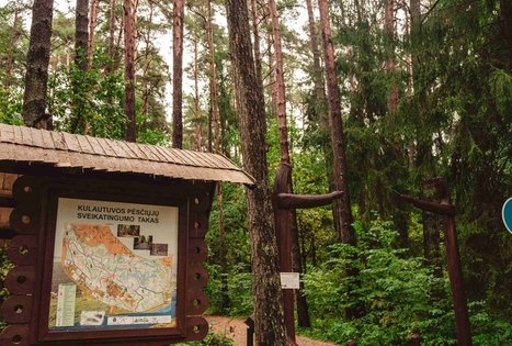 Kulautuvos pėsčiųjų – sveikatingumo takas I.