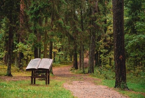 Kulautuvos pėsčiųjų – sveikatingumo takas I.