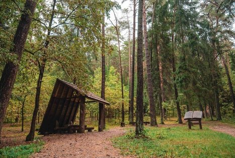 Kulautuvos pėsčiųjų – sveikatingumo takas I.