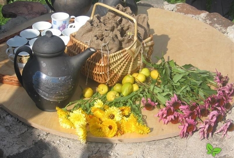 Ūkio „Kurmīši“  /„Kurmiukų“ arbatos