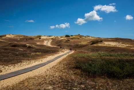 Kuršių nerijos nacionalinis parkas