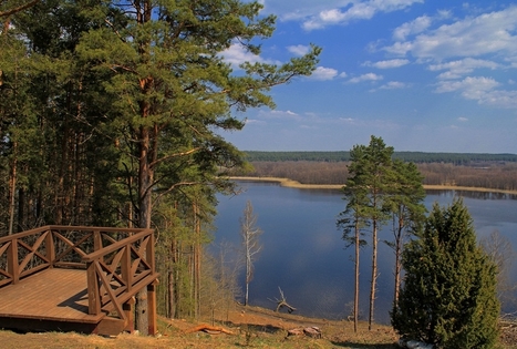 Ladakalnio apžvalgos aikštelė