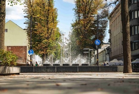 Miško Takas 64. Kaunas – Lampėdžiai.