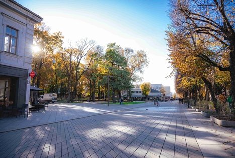 Miško Takas 63. Vaišvydava – Kaunas.