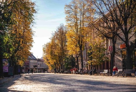 Miško Takas 63. Vaišvydava – Kaunas.