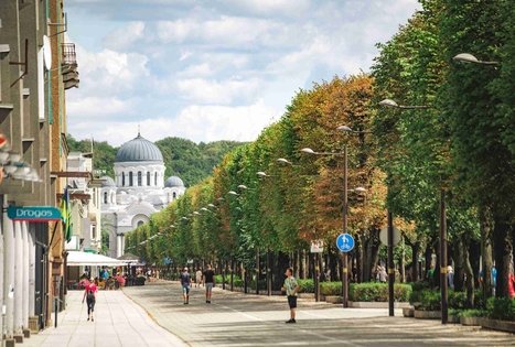 Miško Takas 63. Vaišvydava – Kaunas.