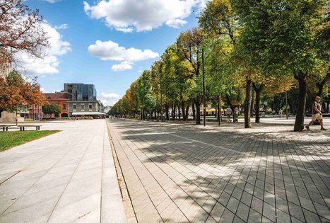 Miško Takas 63. Vaišvydava – Kaunas.