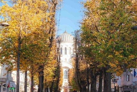 Miško Takas 63. Vaišvydava – Kaunas.