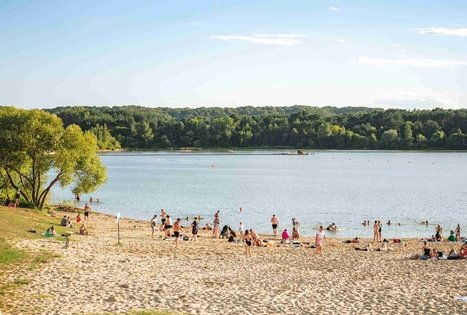 Miško Takas 64. Kaunas – Lampėdžiai.