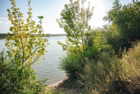 Miško Takas 64. Kaunas – Lampėdžiai.