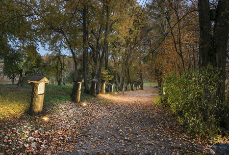 Sodyba „Pagulbis“