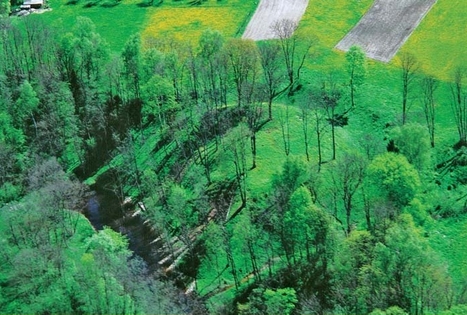 Laužiškio piliakalnis