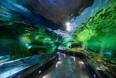 Lietuvos jūrų muziejus ir delfinariumas