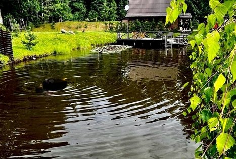 Sodyba „Liežio oazė“