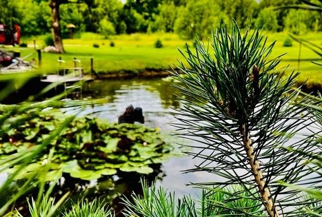 Sodyba „Liežio oazė“