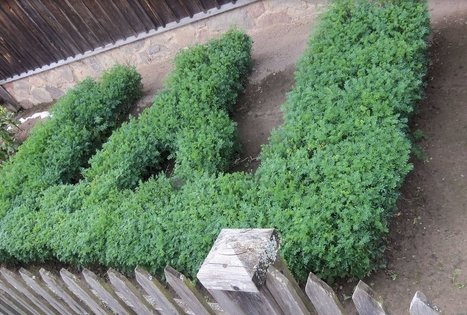 Lietuvos etnografijos muziejus