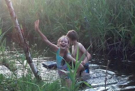 Sodyba „Stirnelės viensėdis“