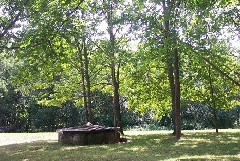 Poeto Jono Mačiulio-Maironio tėviškė