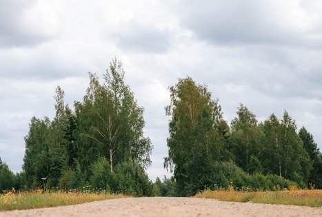 Miško Takas 67. Vilkija – Padubysys.