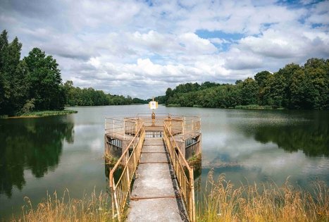 Miško Takas 67. Vilkija – Padubysys.